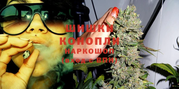 твердый Аркадак