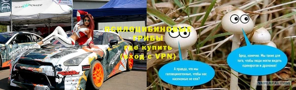 apvp Арсеньев
