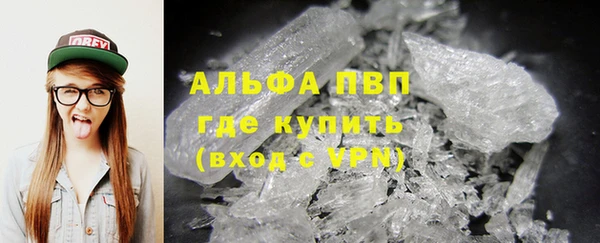 твердый Аркадак